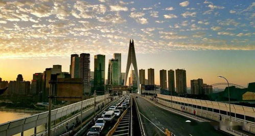 成都解封倒计时，城市复苏的曙光与挑战