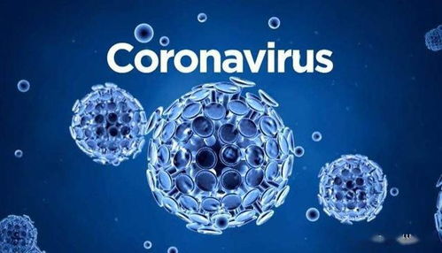 南京病毒，从历史到现实，我们如何面对未知的挑战