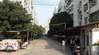 会泽房屋出租，探索云南小城的租赁市场与生活风情