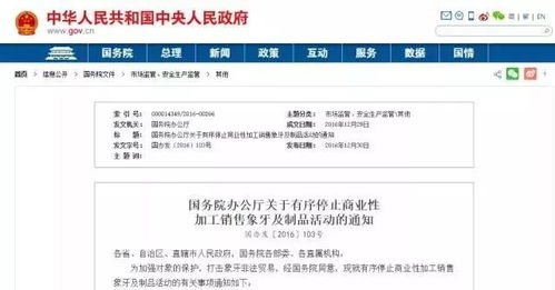 天津社保缴费，保障未来，从今天开始