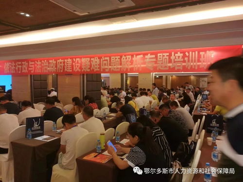 依法行政，构建法治社会的基石