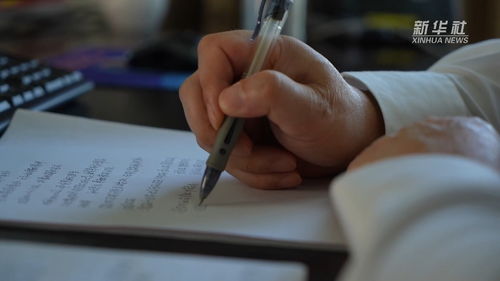 依法行政，构建法治社会的基石