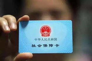 深圳市社保卡查询，一站式指南