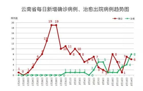 疫情新动态，全国新增确诊病例2641例，防控措施与公众应对指南