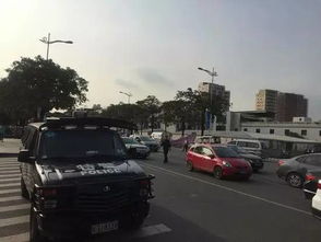 运钞车安全与个人行为，从男子追砸运钞车被击毙事件看公共安全与个人责任