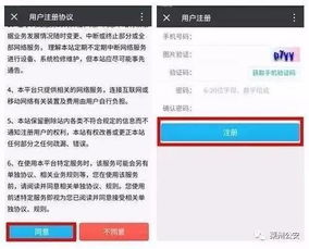 东营市车辆违章查询，便捷、高效、透明的管理之道