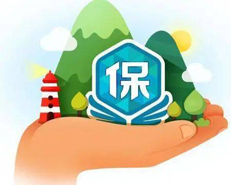 幼儿园管理条例，保障儿童安全与教育质量的基石