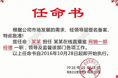 开启新篇章，企业负责人任命书的魔力