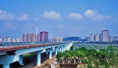 德阳市政府网，连接市民与政府的桥梁