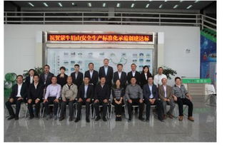 安全生产标准化，企业可持续发展的基石