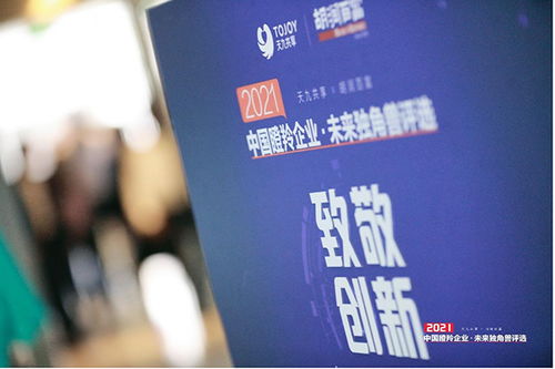 融资计划书，开启企业成长之门的金钥匙