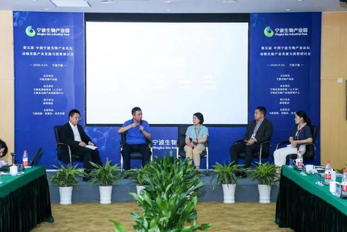 探索太康县二手房市场，机遇、挑战与明智选择