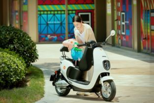 绿色出行新选择，北京二手电动车的实用魅力