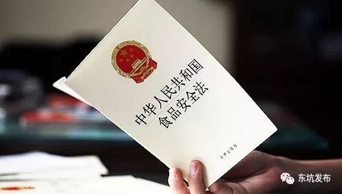 餐饮业的通行证，代办餐饮服务许可证的全攻略