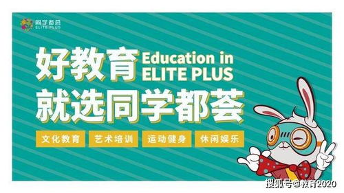 教育法全文解读，塑造未来的力量