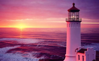 金华市公安局，守护平安的灯塔