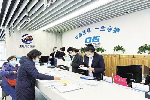 深圳社保局，保障市民福祉的坚实后盾