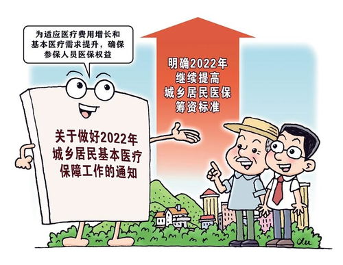 深圳社保局，保障市民福祉的坚实后盾