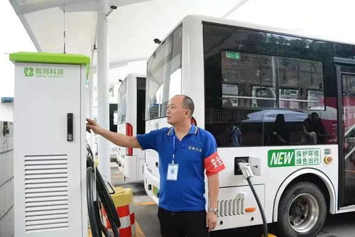 绿色出行新风尚，国家补贴车型，让环保与经济双赢