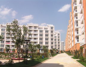 银川市住房保障局，构建和谐家园，保障市民安居乐业