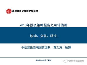 深入解析权益性投资收益，理解、策略与实践