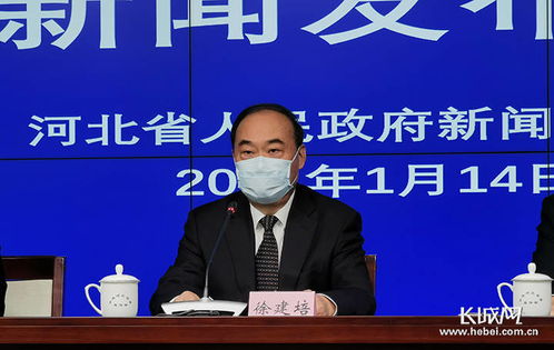 石家庄疫情新动态，新增14例本土病例背后的防控策略与应对措施