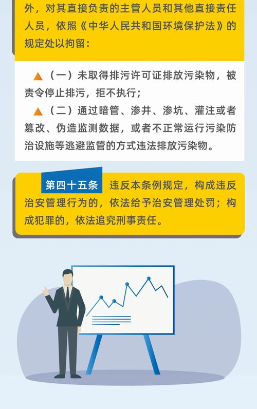 深入了解许可经营项目，法规、流程与实践指南