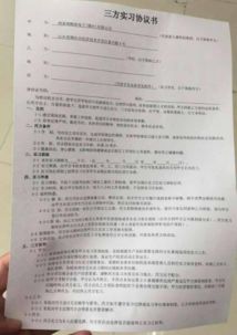 高校强制学生实习，利弊权衡与合理化建议