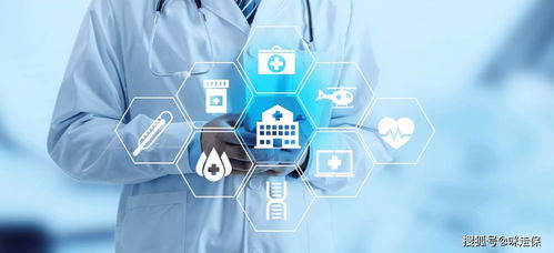 未来保障，深入探讨养老和医疗保险的重要性与策略