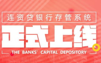 网贷315网，您身边的金融安全卫士