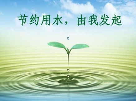 守护蓝色家园，深入理解水生野生动物保护实施条例