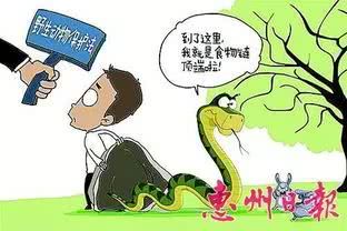 守护蓝色家园，深入理解水生野生动物保护实施条例