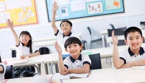 石家庄三鹿集团，从辉煌到衰落的教训与启示