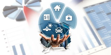 养老保险跨省转移流程，简化步骤与实用指南