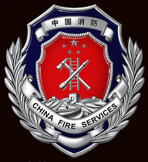 龙海市公安局，守护平安的蓝色盾牌