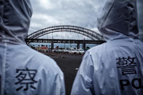 哈尔滨疫情最新动态，防控措施、影响及未来展望