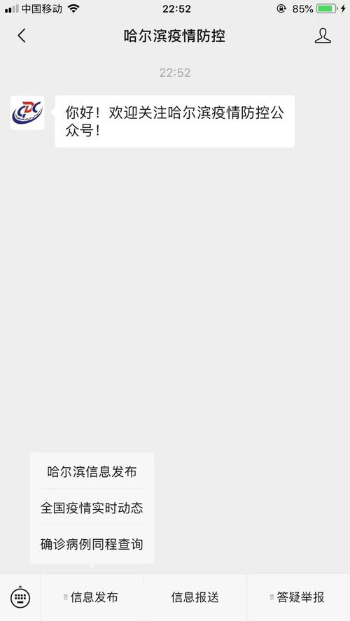 哈尔滨疫情最新动态，防控措施、影响及未来展望