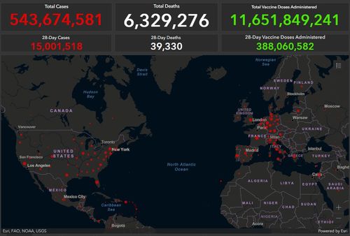 全球疫情新动态，今日疫情最新消息与分析