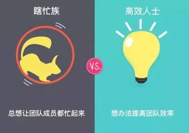 掌握五项管理，提升个人效率与团队协作的关键
