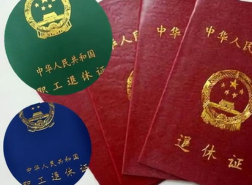 党员证，身份的象征与责任的体现