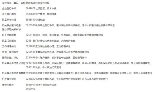 深入了解泰安养老保险查询，保障未来，从查询开始