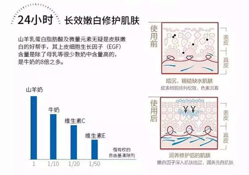 深入了解脱敏治疗费用，成本、因素与实用建议