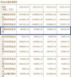 揭开上市公司财务报表的神秘面纱，投资者必读指南
