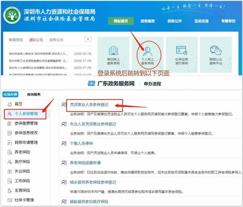 全面解析，社保缴纳指南与常见问题解答
