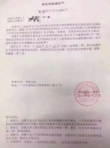 全面解析，社保缴纳指南与常见问题解答