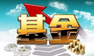 期货投资基金，风险与机遇并存的财富游戏