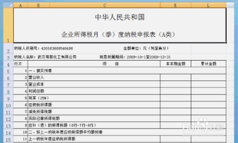 企业所得税的核定征收，深入理解与实用指南