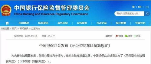 车险项目全解析，保障您的爱车与财务安全