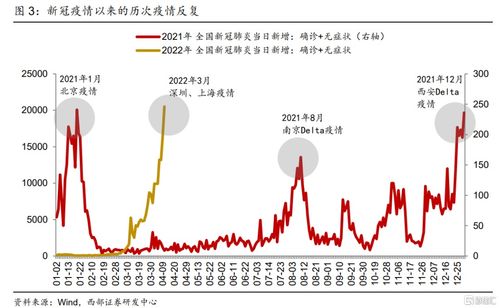 上海疫情最新动态，防控措施与市民生活指南
