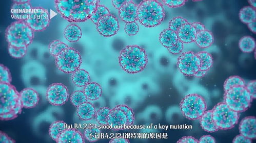 奥密克戎变异株，2到3天传一代的病毒传播速度